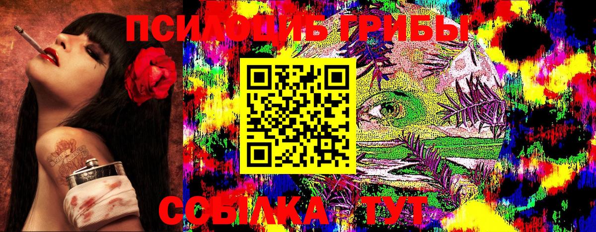 Галлюциногенные грибы мицелий Киржач