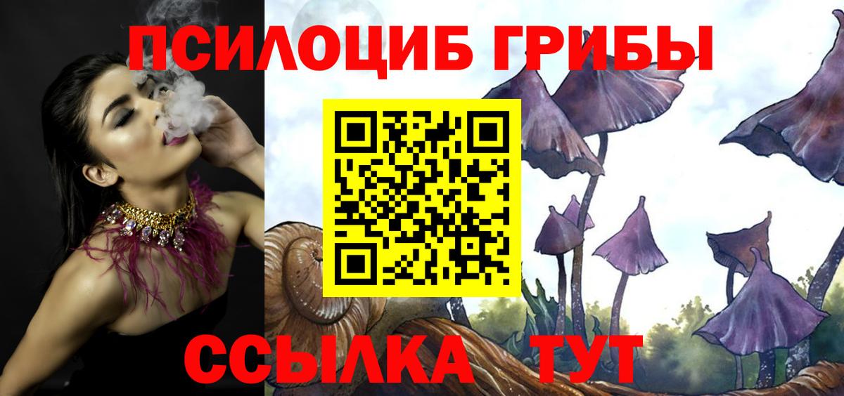 Галлюциногенные грибы мицелий  Вход с VPN  Киржач 